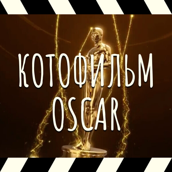 конкурсы для проектора