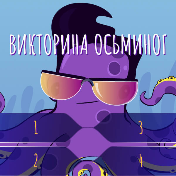 конкурсы для проектора